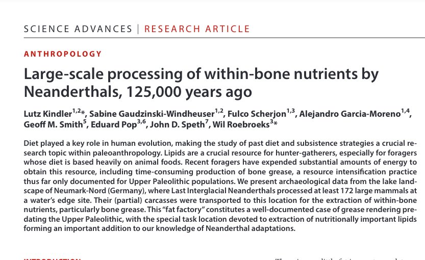 Antonio Rodríguez-Hidalgo tweet media