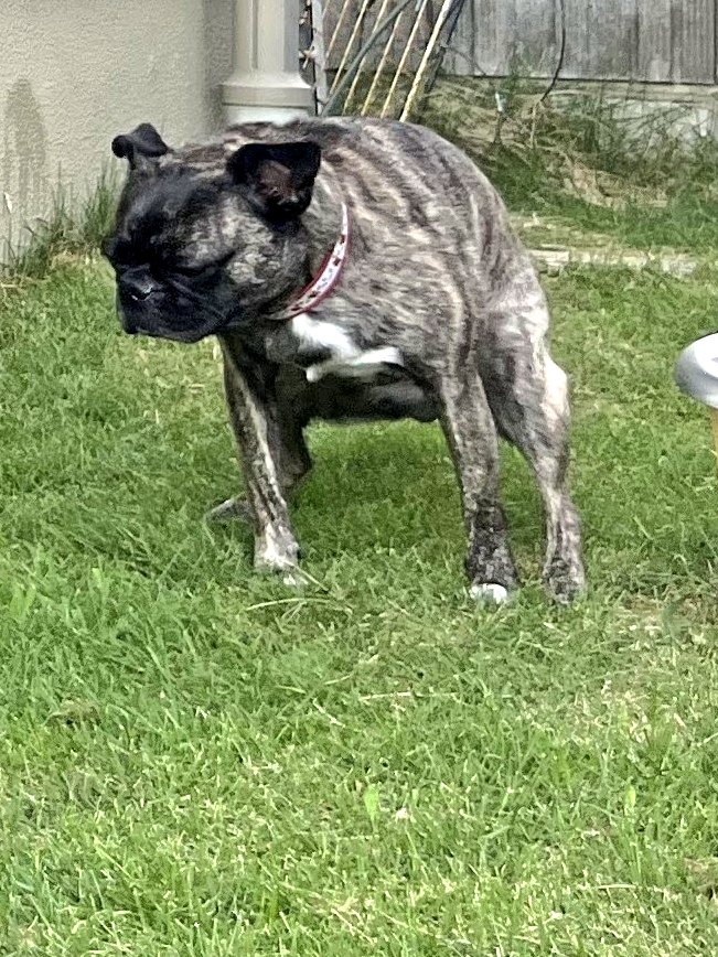 ぱんた (@panta0127) / Posts / X