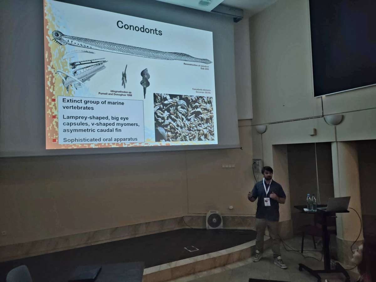 palaeophd's tweet photo. Przemysław Świś opens Day 3 in the Fish and Conodonts session of #EAVP2025 analysing 'The #ontogeny of the Late #Devonian #conodont Tripodellus gracilis based on growth increments' https://t.co/zNTRUHnGuS