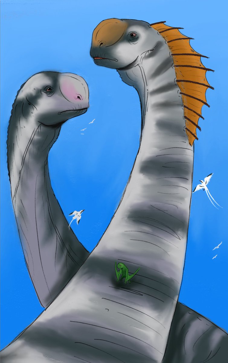 One of the highlights of the film was the 
Titanosaurus scenes. Definitely a new favorite for me. 

#JurassicWorldRebirth