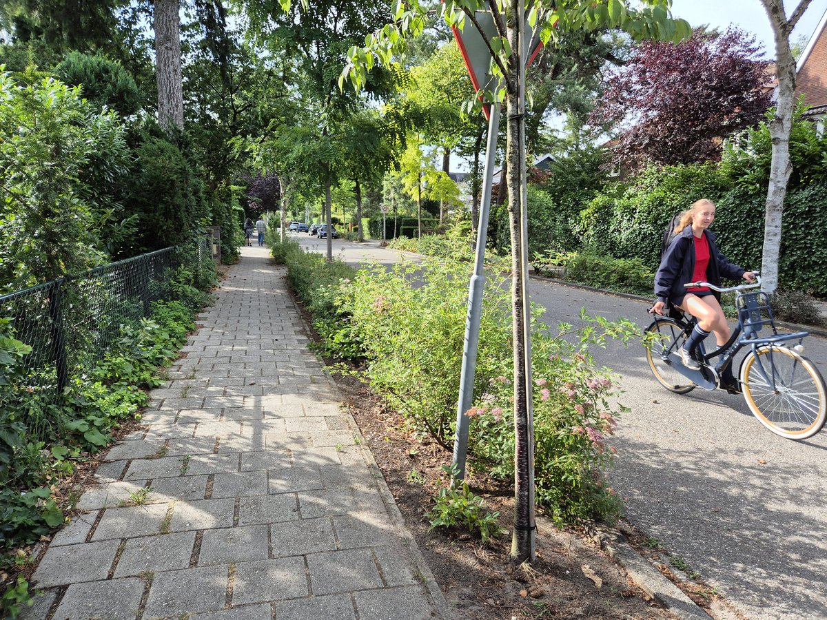 NandaSluijsmans's tweet image. Als de straat een strook onnodige verharding heeft, kan er een #groenstrook🍀 bij! 🎉
Goed voor de #verkoeling☀️, voor #regenwateropvang🌧, voor stadsbeesten🐦⬛🎵🐜🦋 én het wordt zo nog mooier!😍🌿