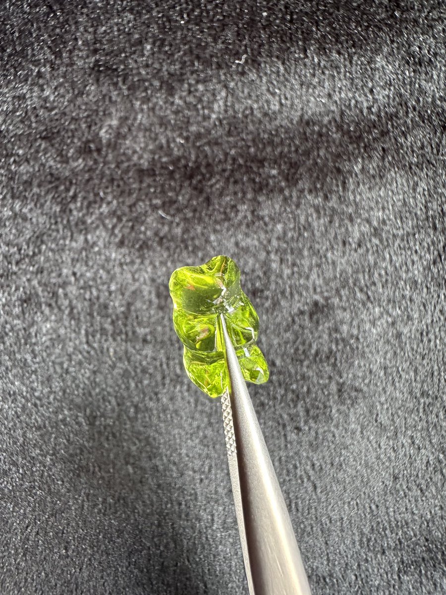 대뜸 하리보 멱살잡이