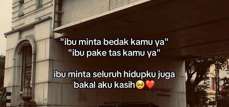 xbaebearx's tweet image. 