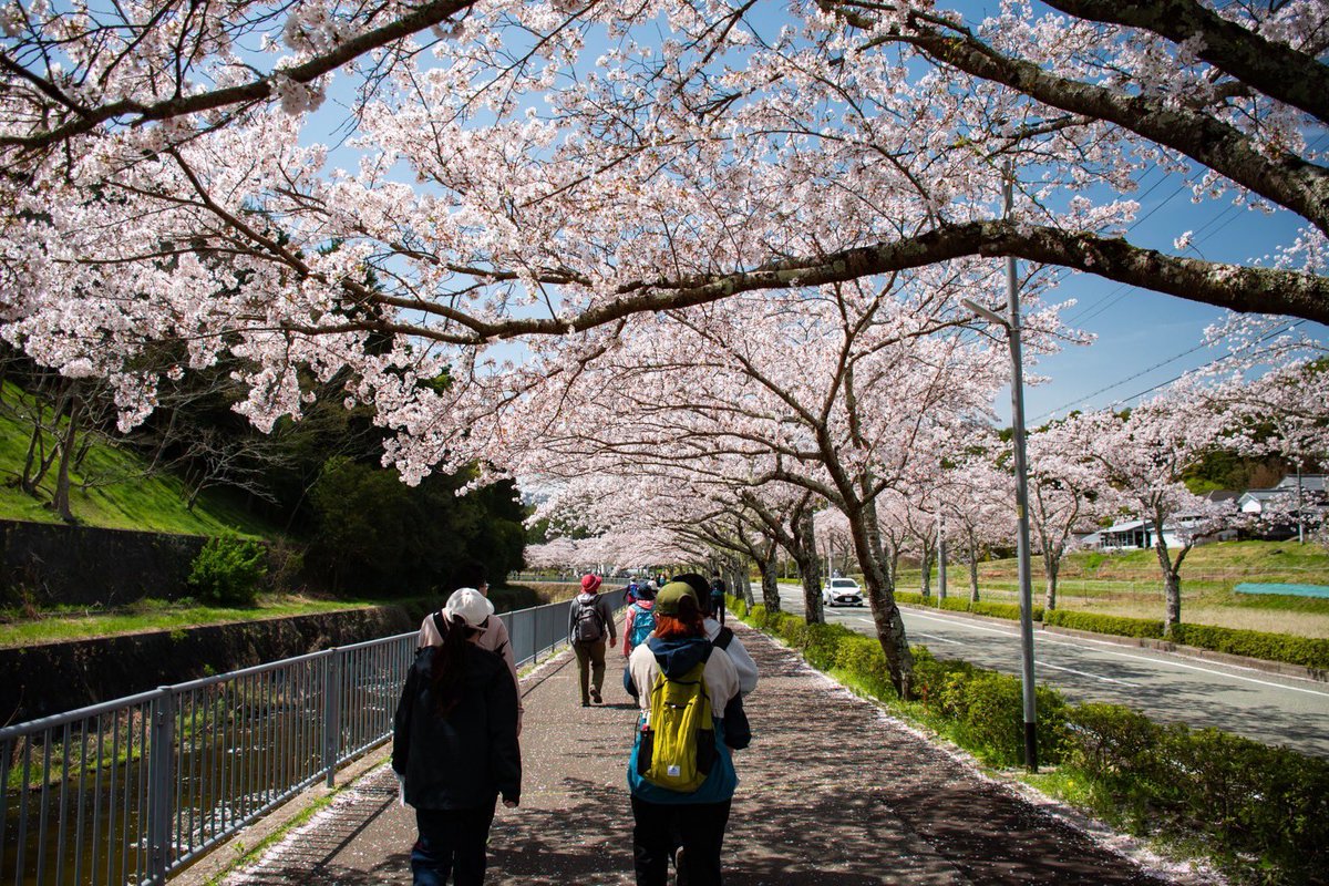 5月いっぱいで、半年間のウォーキングイベントが終了しました！
毎月色んな地域でのイベントにも参加していました👣
様々な賞が準備されていましたが、残念ながら私は受賞ならず🥲
個人賞1位はなんと、1日平均23,822歩…😳
皆さんは1日どのくらい歩いていますか？