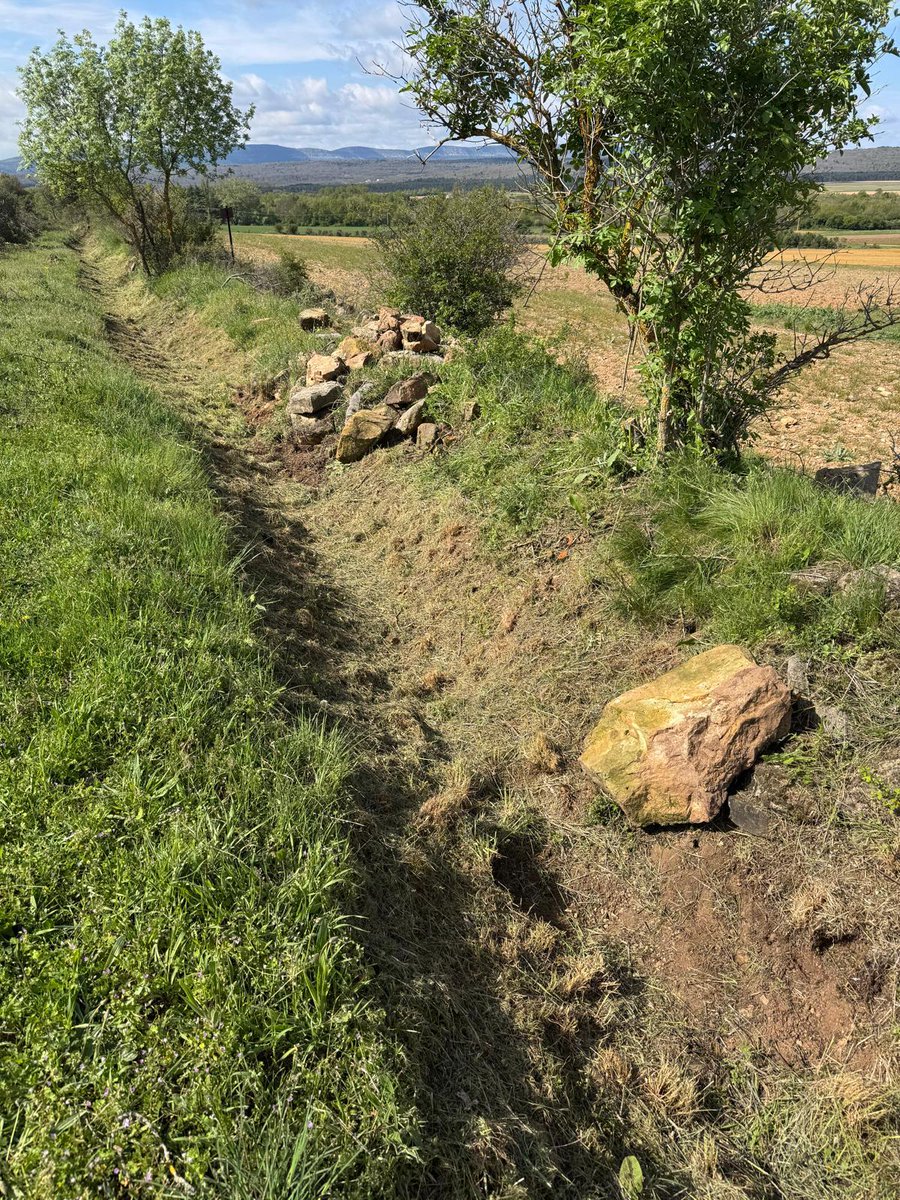 Rehabilitamos la infraestructura hidráulica de abastecimiento de la “Laguna de La Serna”, en Hinojosa de la Sierra #Soria.
El objetivo es su recuperación y del ecosistema asociado. Comenzamos por el desbroce y retirada de vegetación del arroyo Fuente del Parral #NextGenerationEU