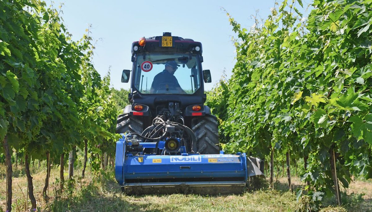 Nobili presenta le sue innovazioni a Enovitis 2025: sostenibilità, efficienza e tecnologie avanzate per viticoltura e frutticoltura: quotidianoweb.it/economia/nobil… #NobiliSpa #AgricolturaSostenibile #ViticolturaInnovativa #MacchineAgricole #Trinciatrici #DiserboMeccanico