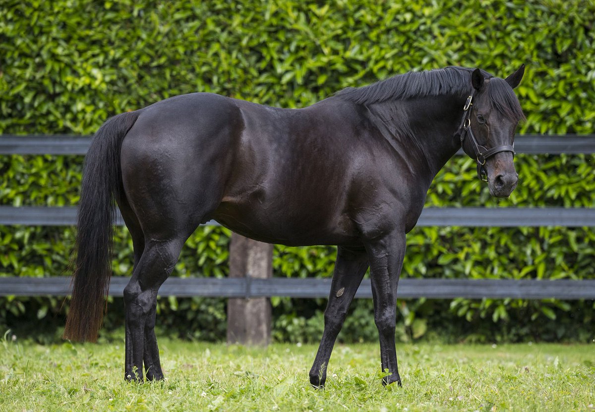 Speedy Wootton Bassett Colt Justifies Favouritism.
Kansas (2c Wootton Bassett – Fire Fly, by Galileo) built on some promising performances to justify favouritism in... bit.ly/46oq2FW