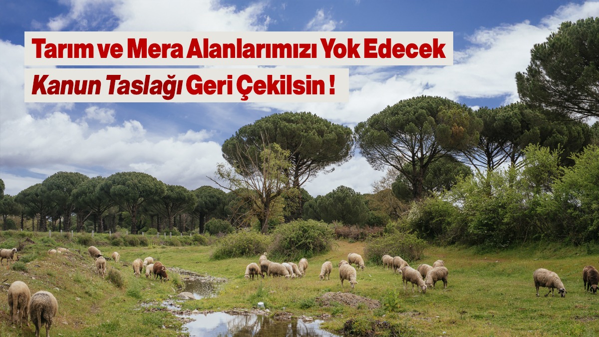 #MadenYasasınıGeriCek