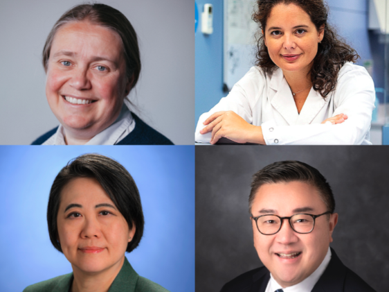 📰 NEWS: Cancer Research Horizons has appointed its first Clinical Advisory Board to provide strategic guidance on the development of novel #cancer therapeutics emerging from its drug discovery division, Therapeutic Innovation

🔗 Read more here: oncologynewstoday.co.uk/cancer-researc…