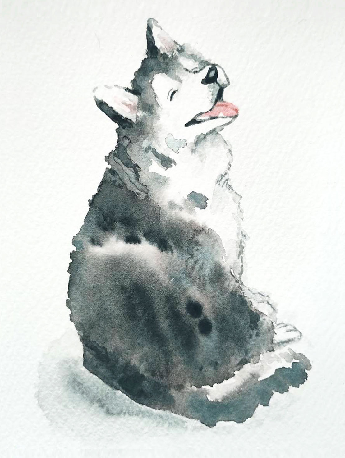 山本ばう@犬の水彩画 on X: 
