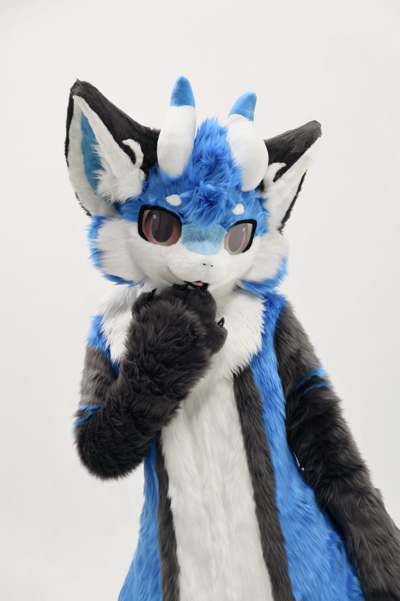 WILDZ tweet media