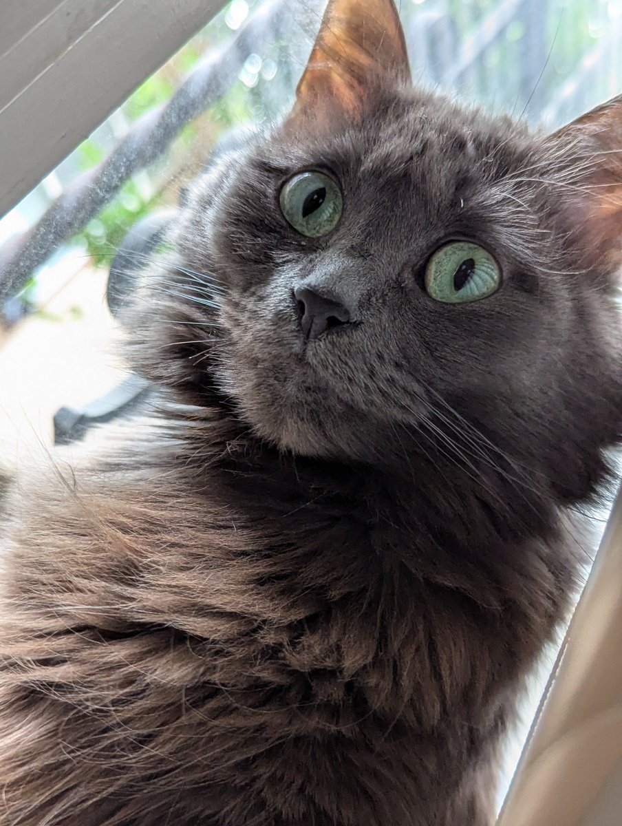 𝐆𝐑𝐀𝐕𝐄𝐄𝐒𝐓𝐀𝐑 𝐑𝐀𝐃𝐈𝐎 ΘΔ || #𝐅𝐁𝐌 ‧₊˚✩ tweet media