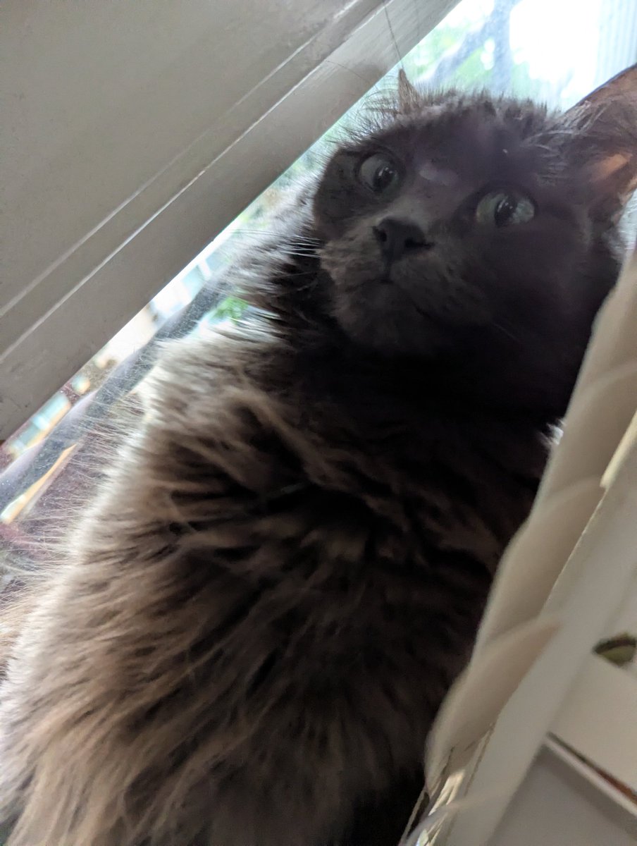 𝐆𝐑𝐀𝐕𝐄𝐄𝐒𝐓𝐀𝐑 𝐑𝐀𝐃𝐈𝐎 ΘΔ || #𝐅𝐁𝐌 ‧₊˚✩ tweet media