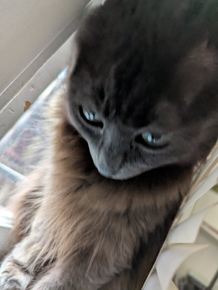 𝐆𝐑𝐀𝐕𝐄𝐄𝐒𝐓𝐀𝐑 𝐑𝐀𝐃𝐈𝐎 ΘΔ || #𝐅𝐁𝐌 ‧₊˚✩ tweet media