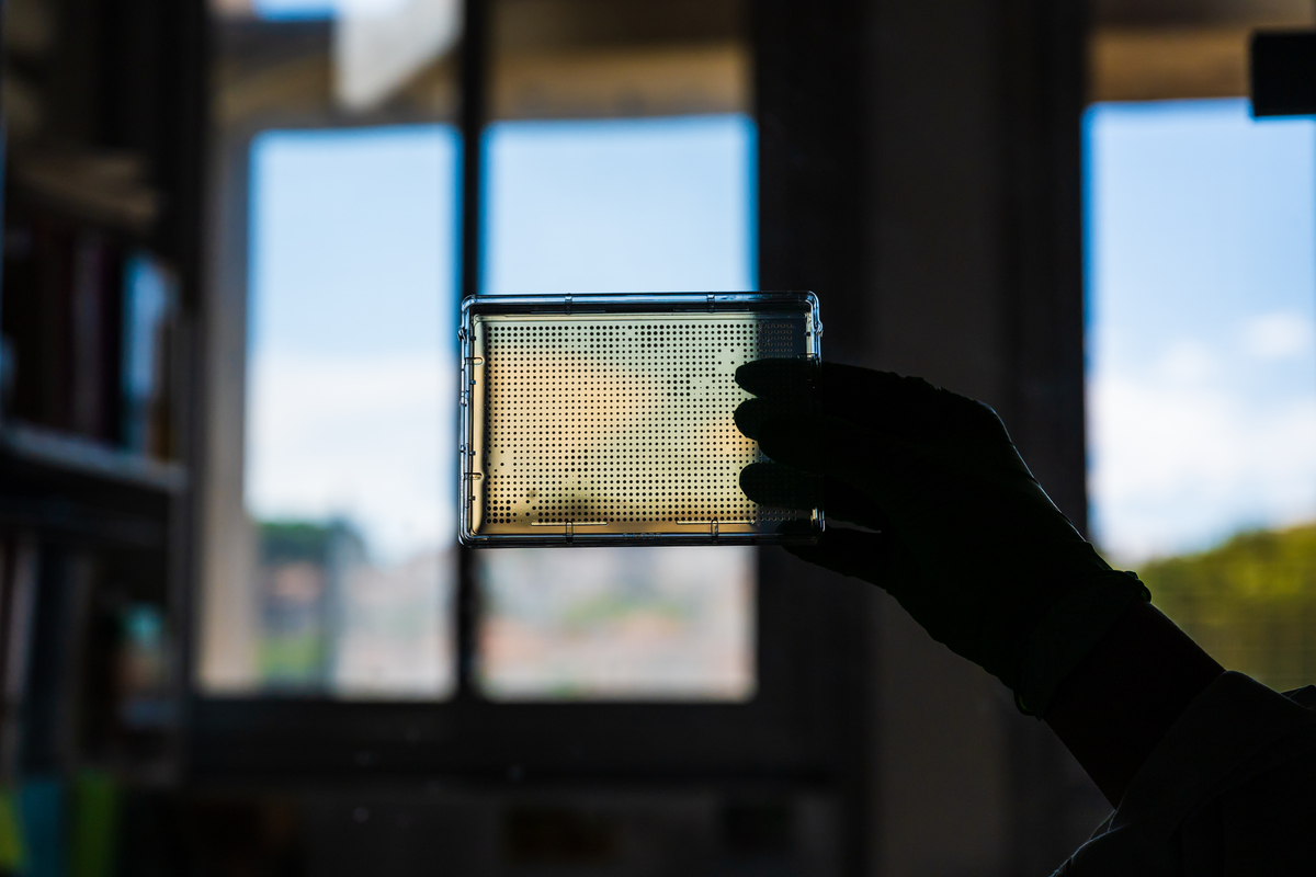 Fondation_BS's tweet image. Découvrez le rapport d’activité 2024 de la Fondation, retraçant les grands choix de son #engagement en faveur des sciences, des arts et de la solidarité. Avec toujours le même objectif : soutenir ceux qui œuvrent pour le bien commun.
En savoir plus👇
ow.ly/j1ZJ50WkbsJ