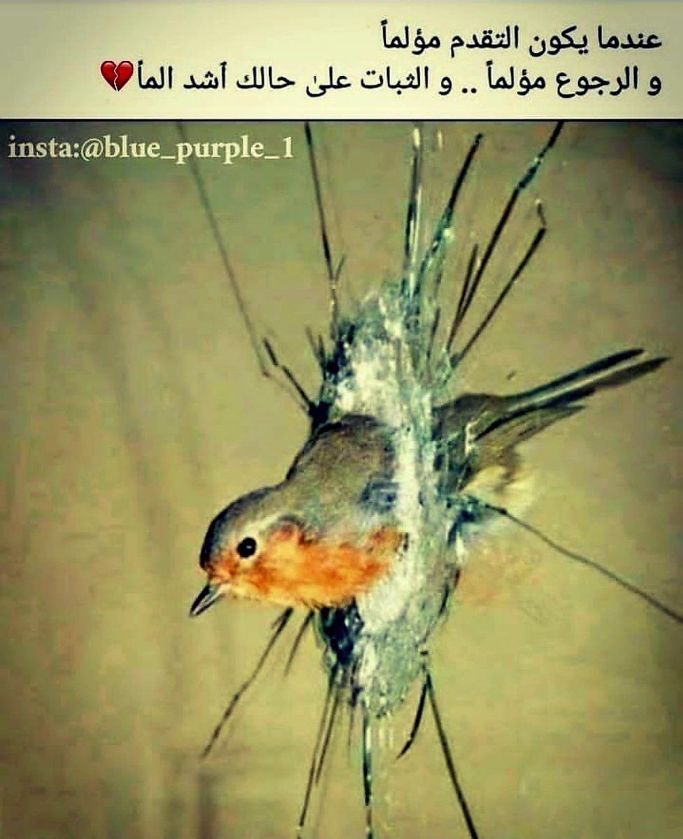 ابن الأصول لا يتقلب.مـثل الفصول ولا يتنقل كالنحلة مـن زهـره إلى زهرة بيـن الحقول
ابـن الأصول يعيش بمبدأ صحيح ومـوقف صريح ولايميل اينما هبت الريح
ابن الاصول.لا يخون عهدا ولا يخالف وعدا ولا يتغير ولوعاش لوحده فردا
ابن الاصول. عمله نادرةوقيمته ذهب يعمل بالاصل ويتحلى بالادب 👌🔔