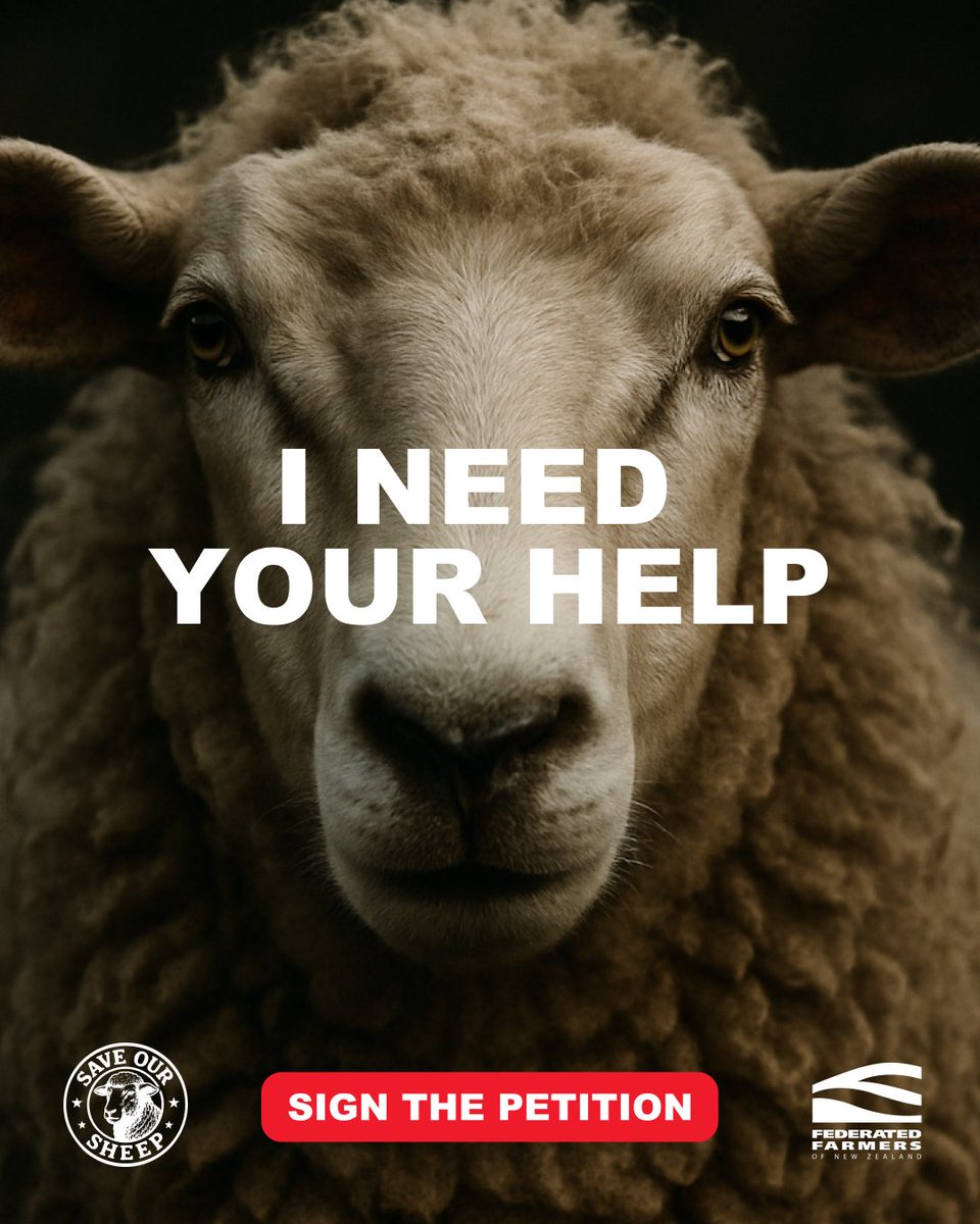 FedFarmers's tweet image. The announcements from the Government at Fieldays were great, but until we see a Bill passed we aren’t taking any chances. Sign your name to the petition to keep the focus on saving our sheep! saveoursheep.nz