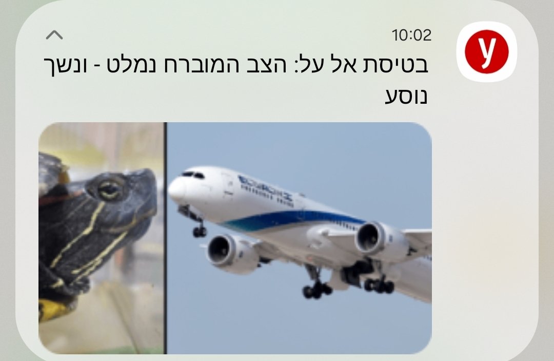מציאות על שאפל