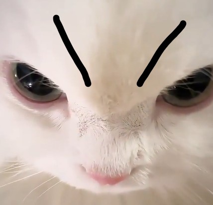 wen <a href="/monad_xyz/">Monad ⨀</a>