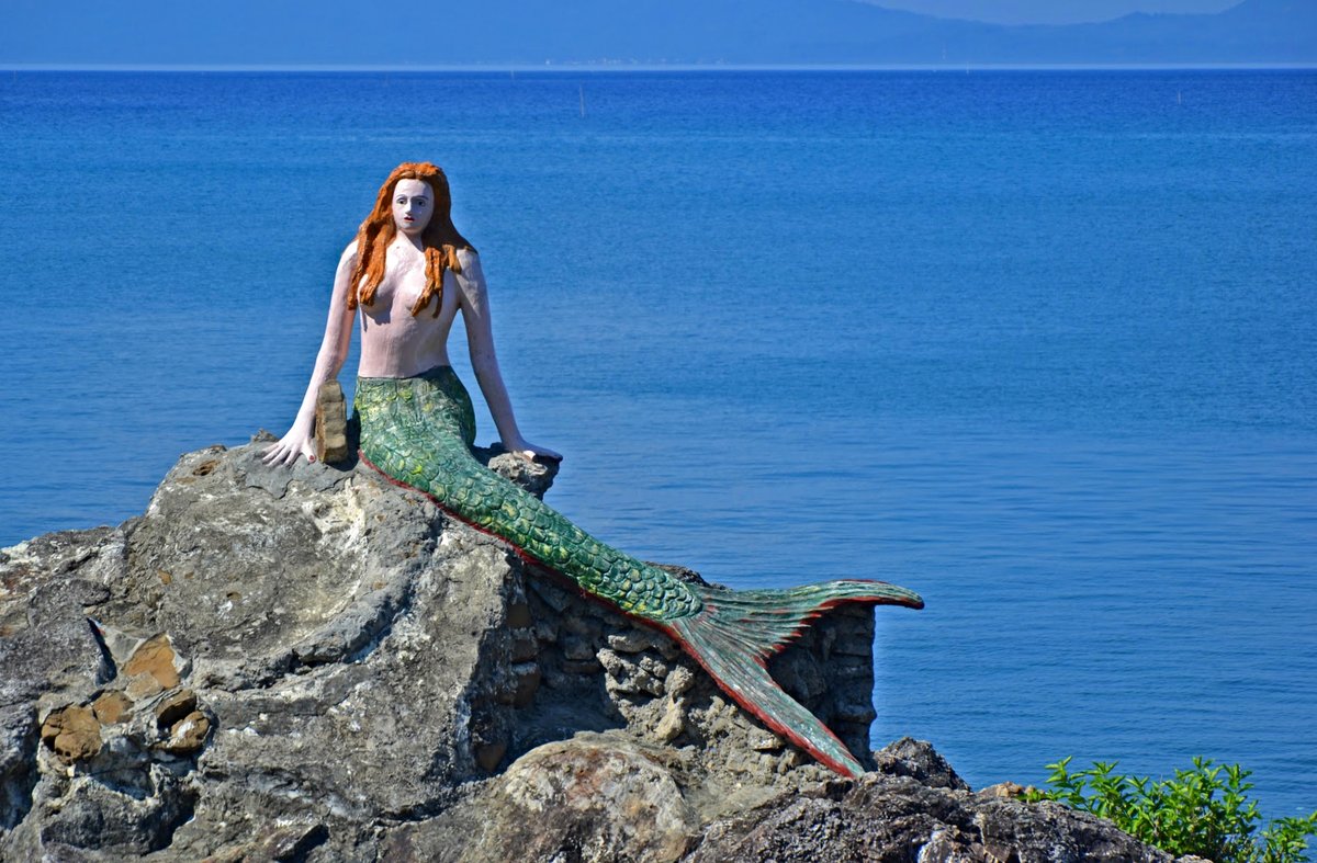 Neil | The Backpack Adventures tweet media