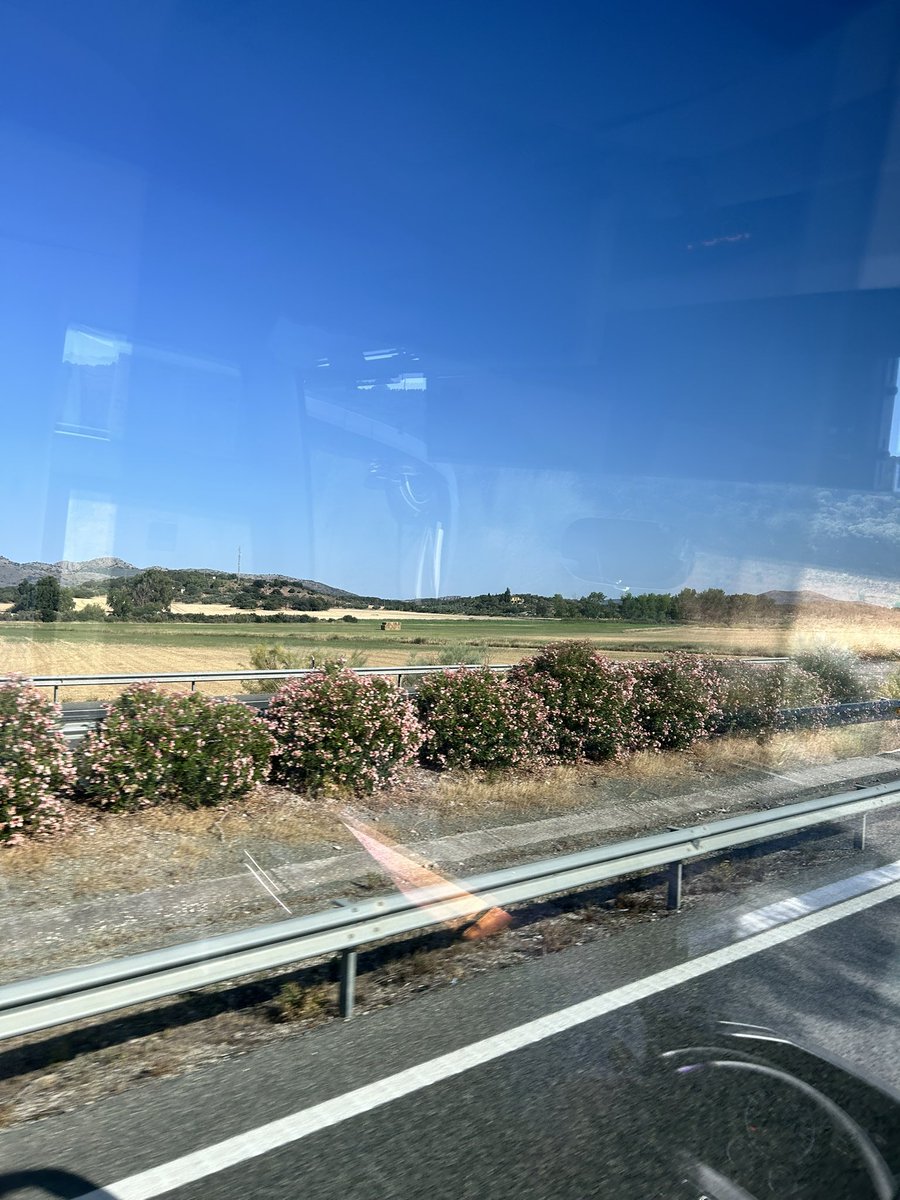 Granada here we come! We can’t wait to show the students the beautiful Alhambra Palace