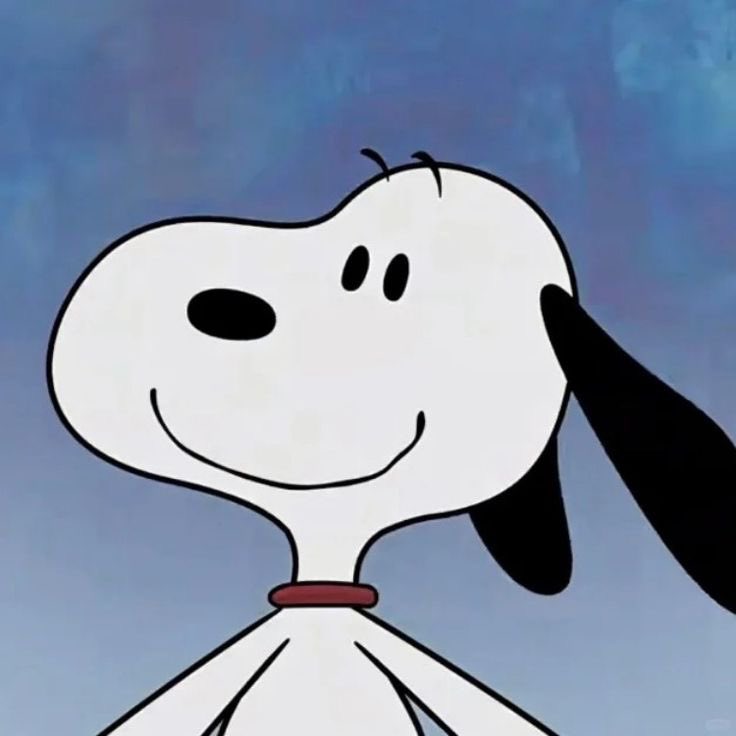 snoopy lover (@snoopyfever_) on Twitter photo 