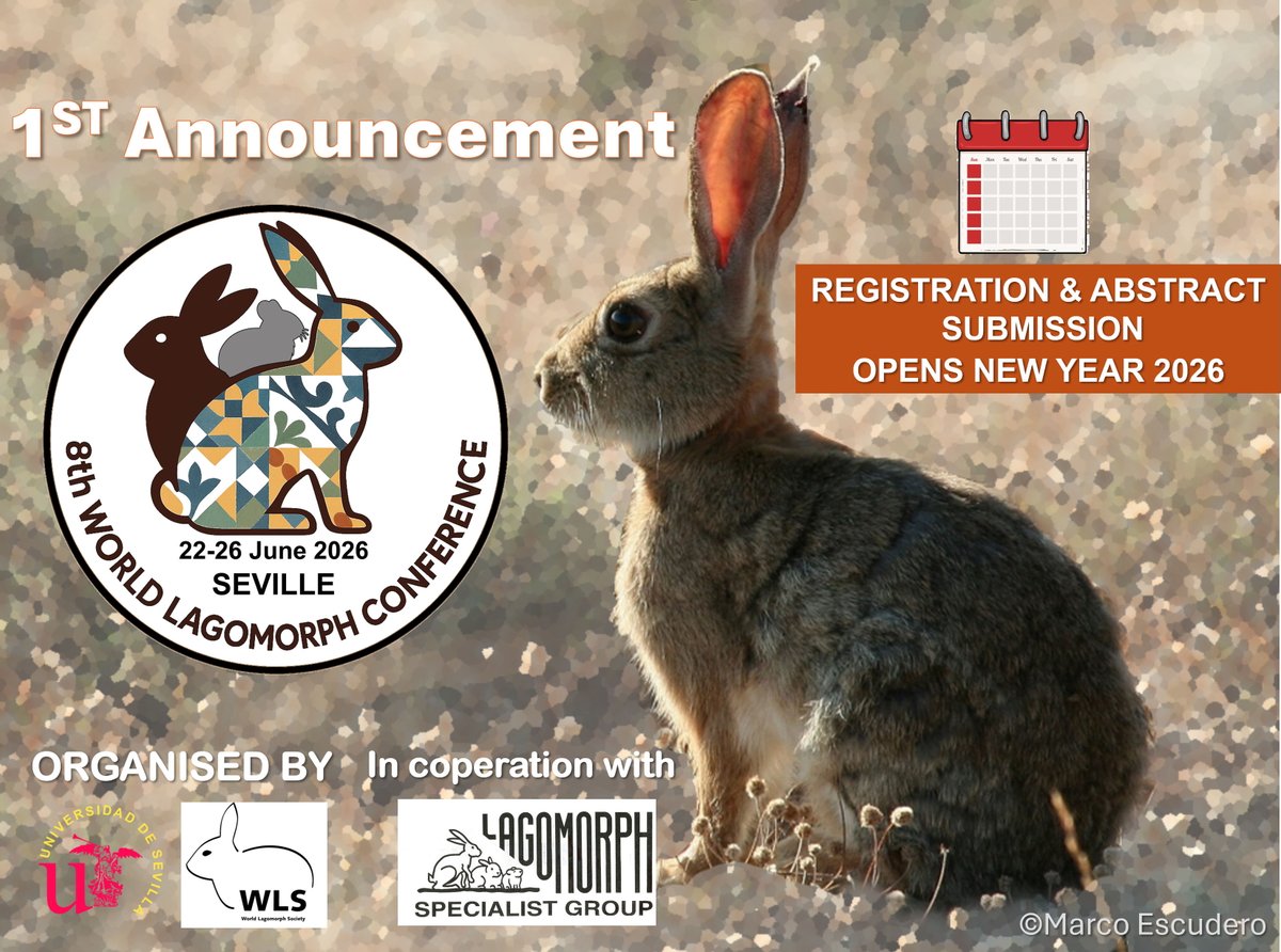 WorldLagomorph's tweet image. 📣8th World Lagomorph Conference UPDATED LOCATION!!!📣
We are very excited to announce that our 8th World Lagomorph Conference will now be held June 22-26, 2026, in Seville, Spain at the Universidad de Sevilla.🐰🇪🇸