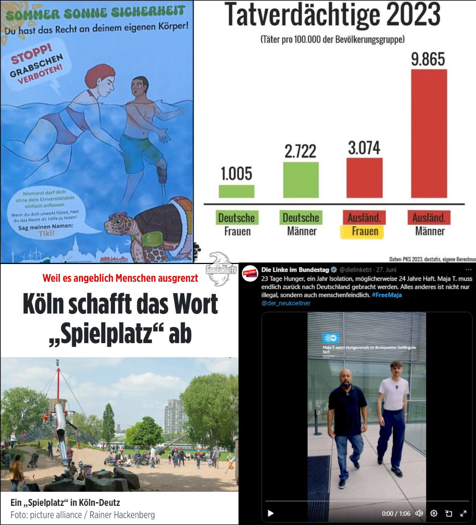 GabbaGandalfTV (@gabbagandalftv) on Twitter photo Deutschland schafft sich ab (Kurzzusammenfassung) Deutschland schafft sich ab (Kurzzusammenfassung)
