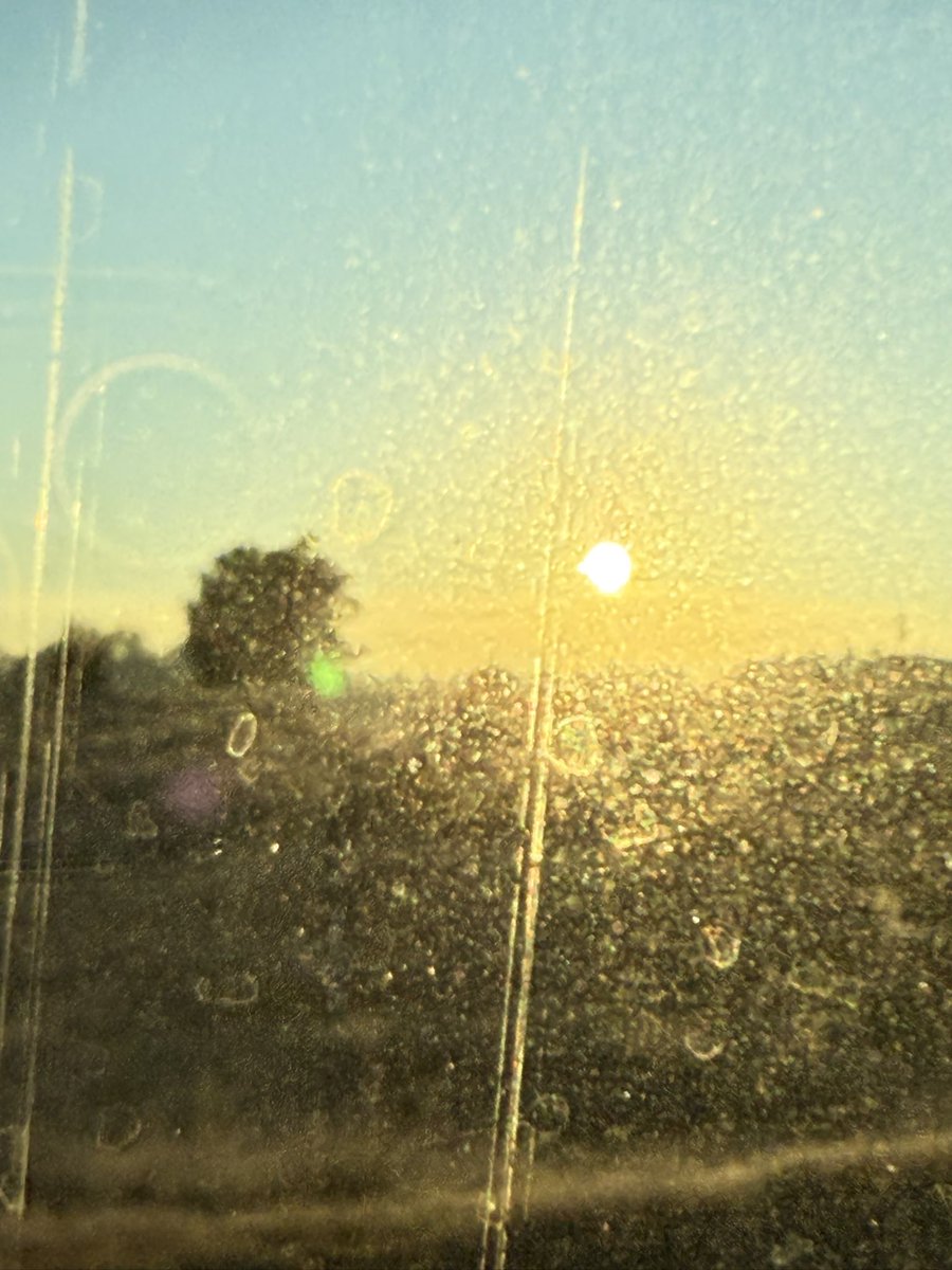 HilltopsEggs's tweet photo. Oscillating between frozen fields and almost-snow, to storms, to sun, to blue skies today: not the easiest week to be farming chickens in the pasture! Sleepless nights and long hours.
 
#hotandcold #winter #frost #frozen #eggs #pastured #freezing #poetry #farmlife #hardweek https://t.co/tM2Z4DGBRy