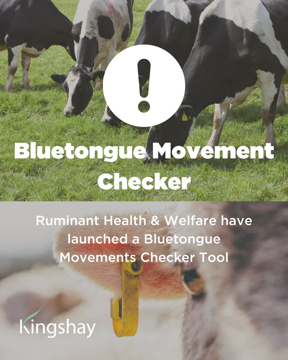 Ruminant Health and Welfare have launched a NEW Bluetongue Movements Checker tool to support farmers across the UK. You can find out more about this here along with other resources in their #battleBluetongue toolkit:
ruminanthw.org.uk/bluetongue-vir…
<a href="/ruminanthw/">Ruminant Health & Welfare</a> <a href="/TheAHDB/">AHDB</a>