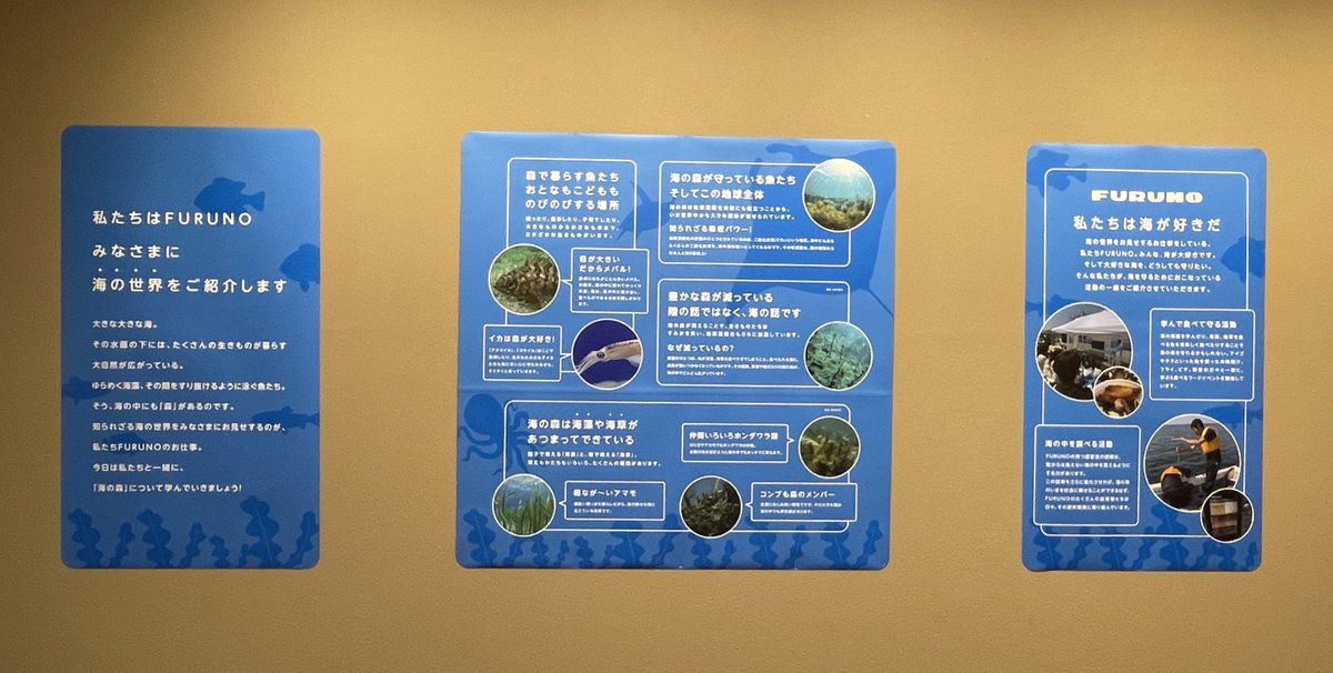 魚たちの命があふれる海の森。
#私たちは海が好きだ