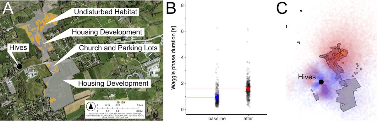 Biology Open tweet media