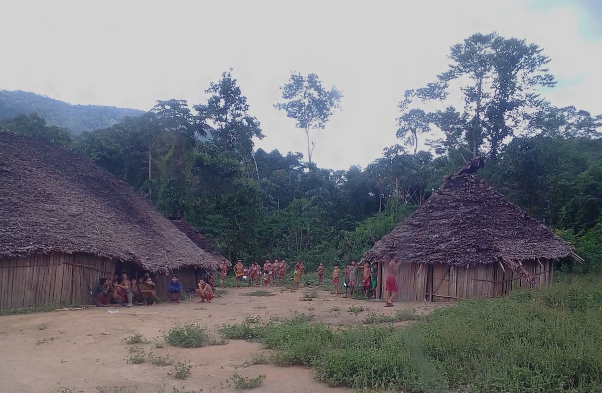 agendapropiaap's tweet image. ⛰️| En el corazón de la Amazonía 🇻🇪, el pueblo Yanomami enfrenta una crisis de salud e invasión minera.
Mateo Blanco y Raimundo Valero, jóvenes Yanomami, luchan por su cultura, los rituales y la medicina ancestral.
Revive la historia:⬇️
bit.ly/Yanomamis-Desa…