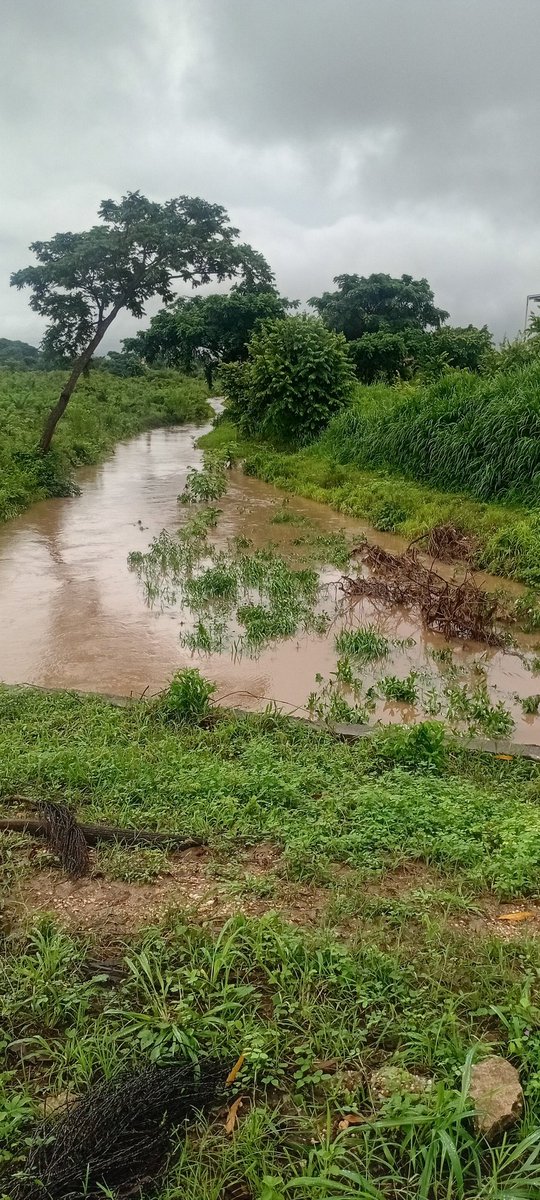 ArturoC69755641's tweet photo. #Cojedes| Así se encuentra el canal que viene de San Ramón hasta La Villa Olimpica de San Carlos. #jul03 @ClaroyRaspao3 @igorprieto @musiusaboin @juancavillegas @RA_MONCADA @joseluismonroy https://t.co/clbxJ0oK3C