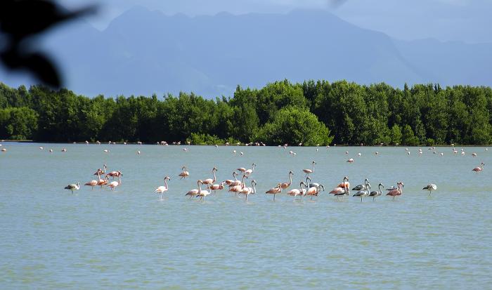 🇨🇺✊Cuba reafirma su compromiso con el enfrentamiento al cambio climático.

📌Hasta el 5 de julio se desarrolla en el Palacio de Convenciones la XV Convención Internacional sobre Medio Ambiente y Desarrollo.

🔗 acortar.link/OYskgw