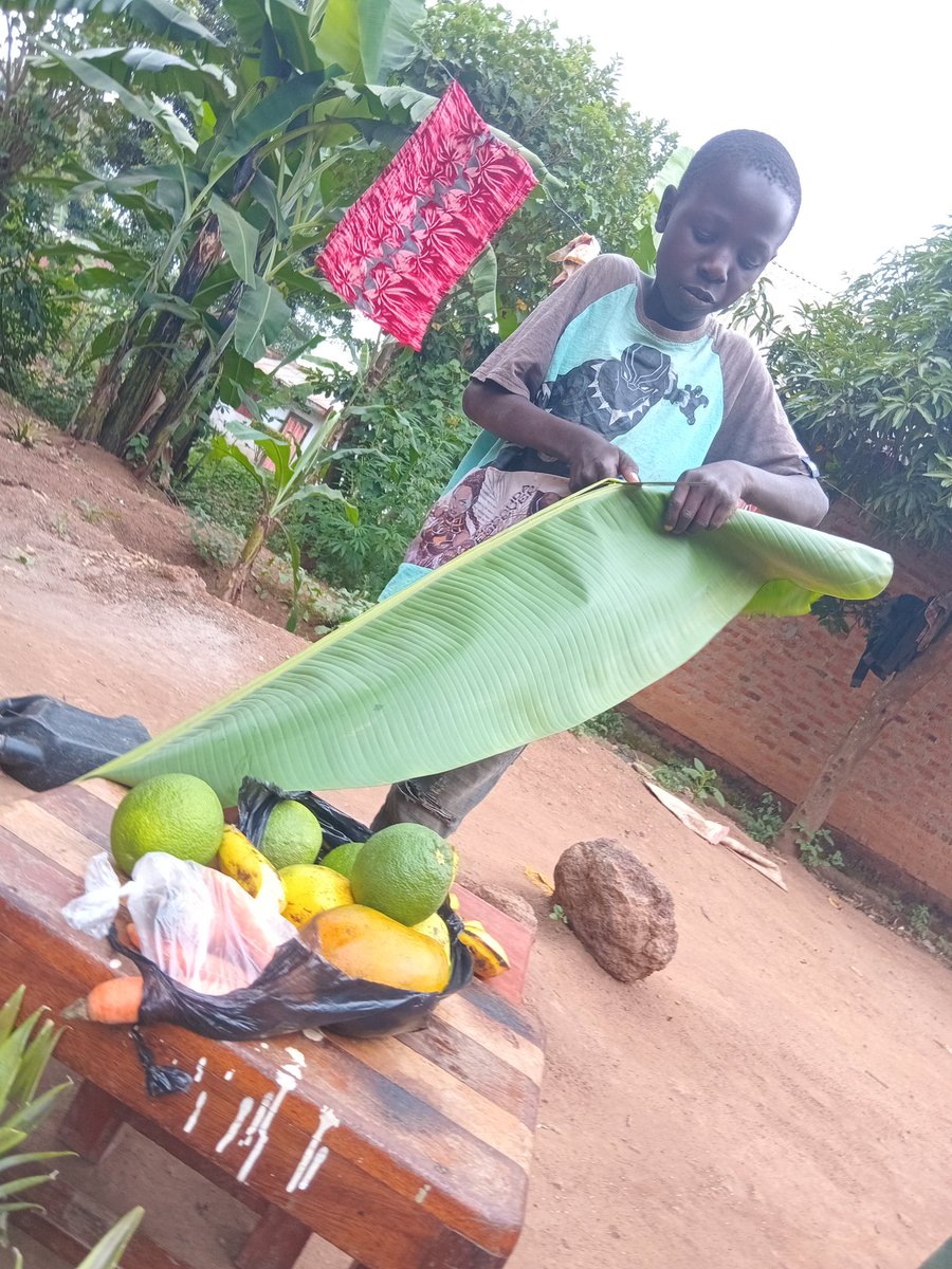 TheclanTour's tweet photo. Fruits https://t.co/QthPeY2NvV