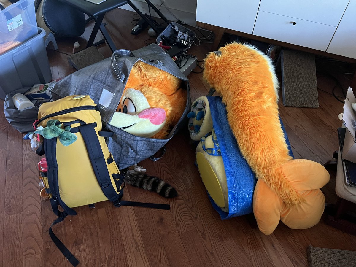 dummydino's tweet image. dressed and all packed for the first day of Normal Con! the con where you dress up normal and just generally be a normal guy. really excited