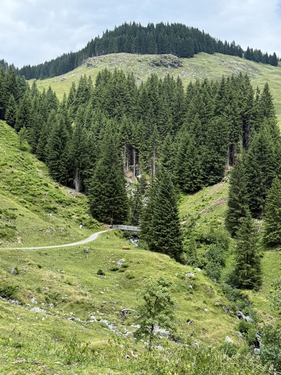Es kühlt wieder ab - Donnerwetter