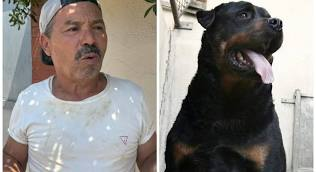 elenasole69's tweet image. #Lavinio Gassani "Rm nord, c'è gente ke gira con cani di 60 kg e pesa 1/2! Forse compensano qualke mancanza" Il lacchè della Bruzzone parte in una sperticata difesa dei padroni di qste razze, strano! Poi la crime dice di averne 2 e, parole sue "di usarli x..." Lei ama ma USA! 🧐