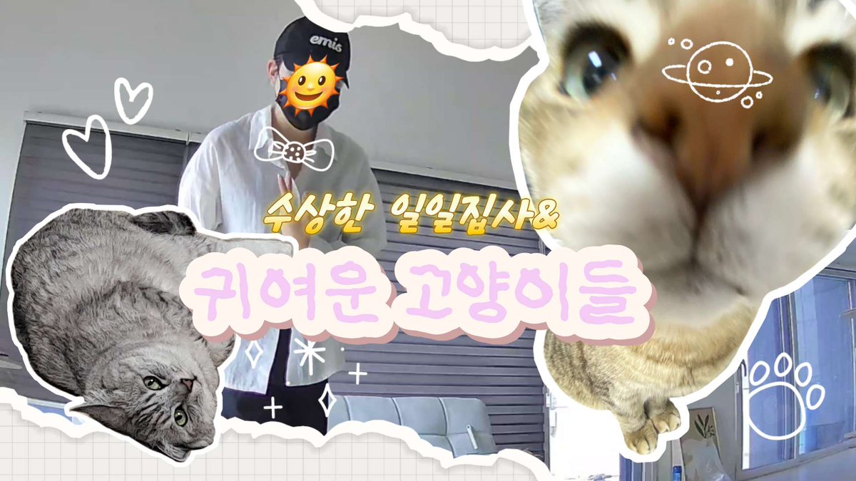 귀여운 고양이들이 나오는 영상 업로드🐈

youtu.be/SQxMOp7dxME?si…