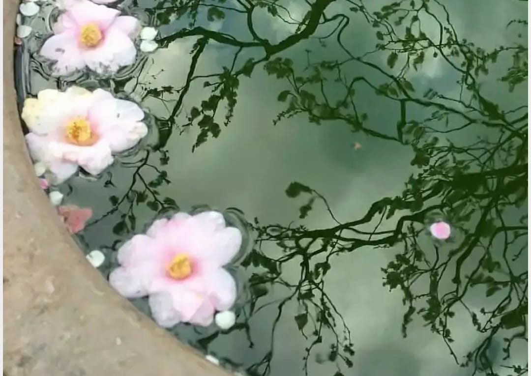 إنْ ضعفتَ عن حمل بلائه ؛ فاستغث به ، وإنْ آلمَك كرب اختياره ؛ فإنّكَ بين يديه

#ابن_الجوزي
