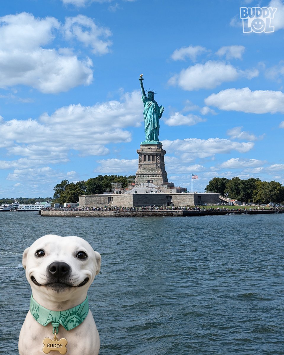 The Dalbo Dog tweet media