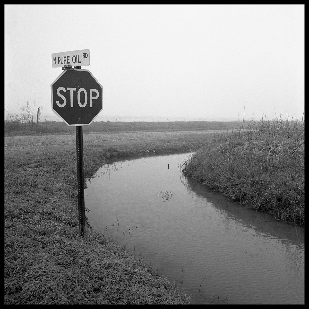 oxfordamerican's tweet image. #EyesontheSouth | Pure Oil | Kristie Cornell
Lafayette-based photographer Kristie Cornell documents the impact of neglect and illegal dumping on Louisiana’s Coastal Prairie.
🔗: shorturl.at/pdafM