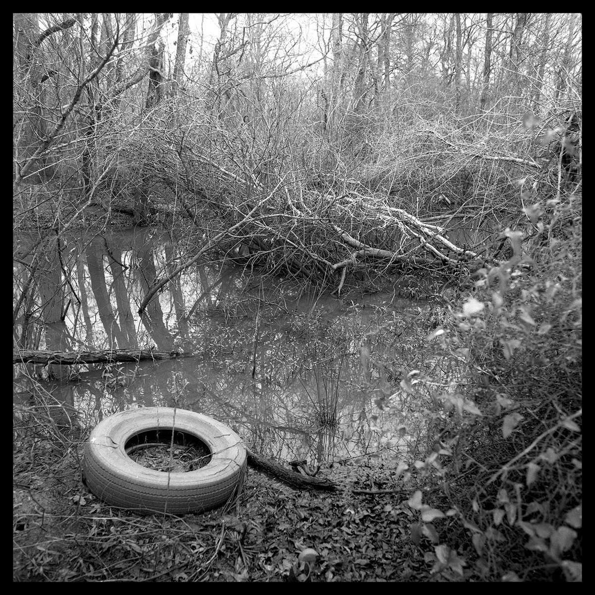 oxfordamerican's tweet image. #EyesontheSouth | Pure Oil | Kristie Cornell
Lafayette-based photographer Kristie Cornell documents the impact of neglect and illegal dumping on Louisiana’s Coastal Prairie.
🔗: shorturl.at/pdafM