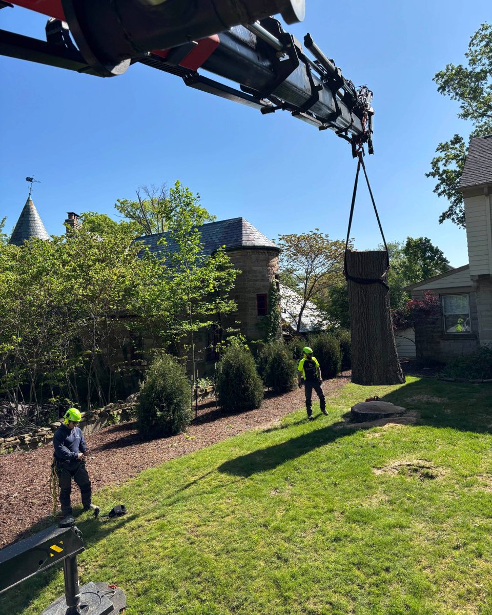 BluestoneTree's tweet image. Big tree. Bigger skills. 🌳💪 Bluestone’s crew lifts with care — and leaves your yard in good shape.

#BluestoneTree #LargeTreeRemoval #TreeCareExperts #ArboristLife #SafeAndSkilled #ProfessionalTreeService #BloomingtonIN #TreeWorkThatMatters
