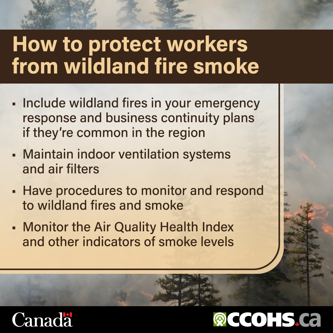 CCOHS's tweet image. Exposure to #wildfire smoke can have harmful health effects. Learn how to protect both outdoor and indoor workers: ow.ly/VnCE50WhzXX