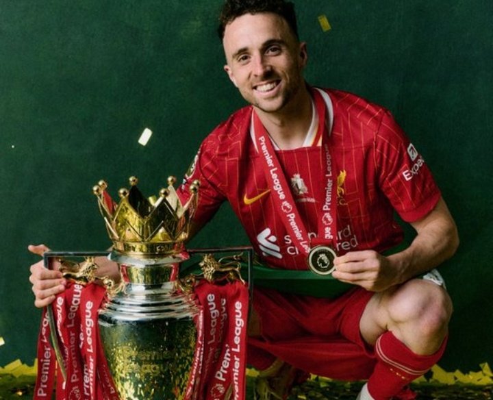 MMA sheep tweet media