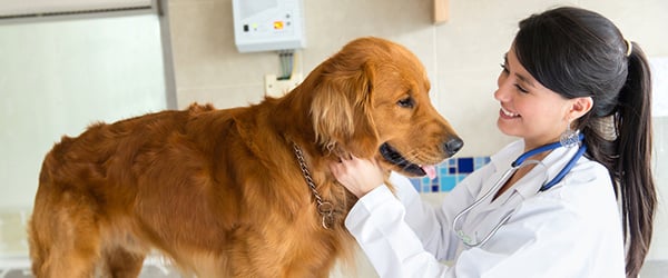 Packaged Facts tweet media