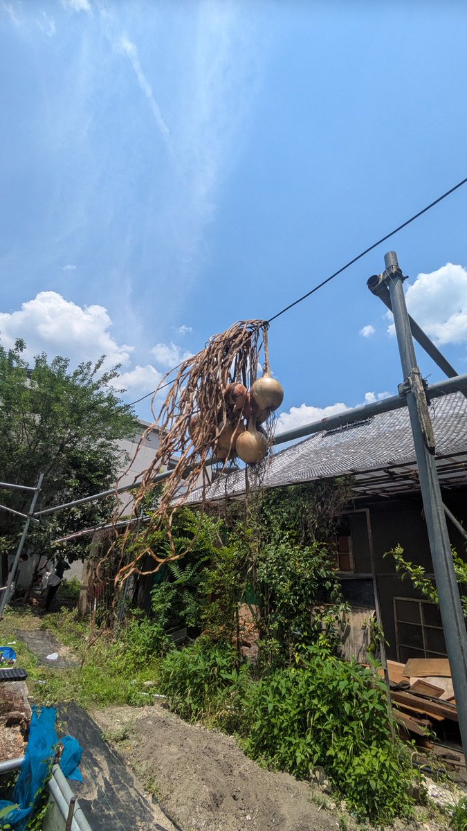 京大 公認 有機農業研究会〜minori〜 tweet media