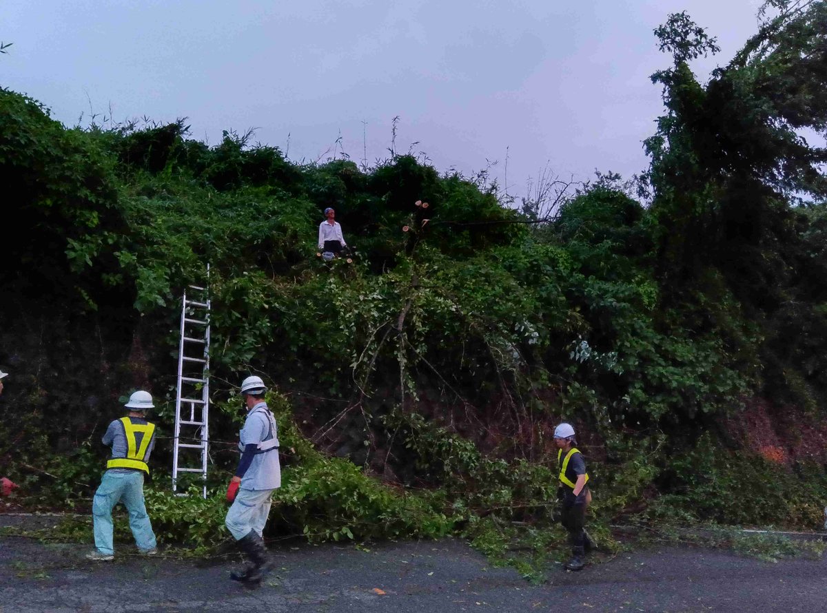 #倒木
作業中
県道 中野谷富岡線 富岡市上黒岩 倒木 作業中
#群馬県建設業協会 #建設業協会 #建設業 #群馬県
2025/07/03 19:10 1